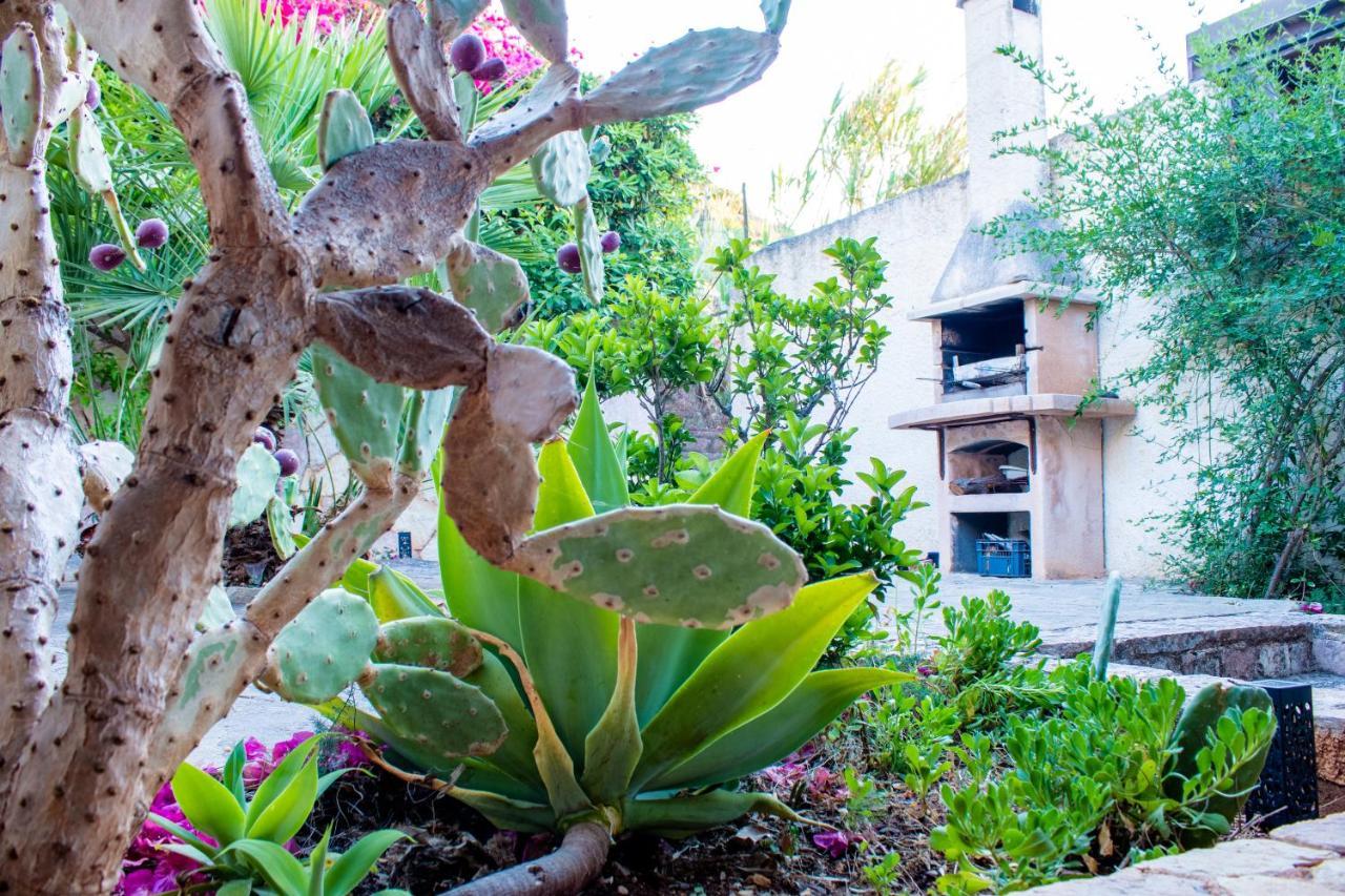 Villino Agave Villa San Vito Lo Capo Exterior photo